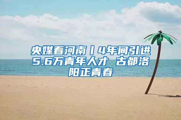 央媒看河南丨4年间引进5.6万青年人才 古都洛阳正青春