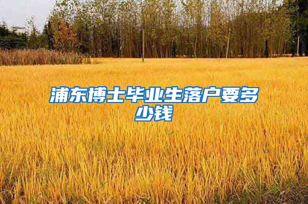浦东博士毕业生落户要多少钱