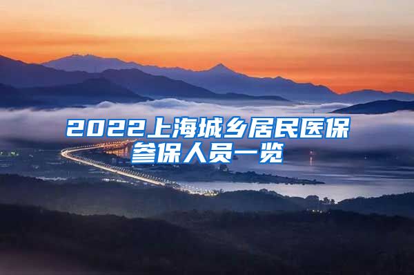2022上海城乡居民医保参保人员一览
