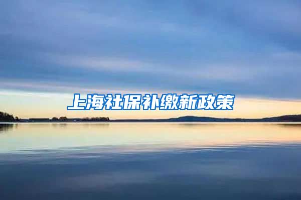 上海社保补缴新政策