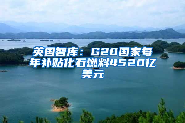 英国智库：G20国家每年补贴化石燃料4520亿美元