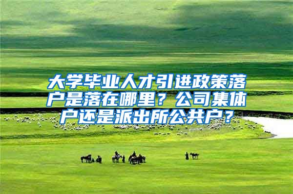 大学毕业人才引进政策落户是落在哪里？公司集体户还是派出所公共户？