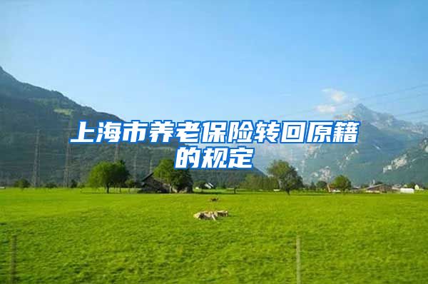 上海市养老保险转回原籍的规定