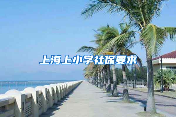 上海上小学社保要求