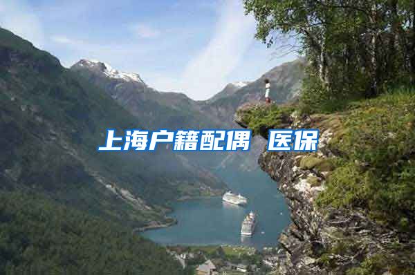上海户籍配偶 医保