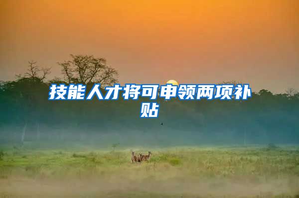 技能人才将可申领两项补贴