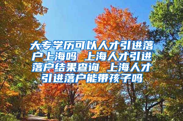 大专学历可以人才引进落户上海吗 上海人才引进落户结果查询 上海人才引进落户能带孩子吗