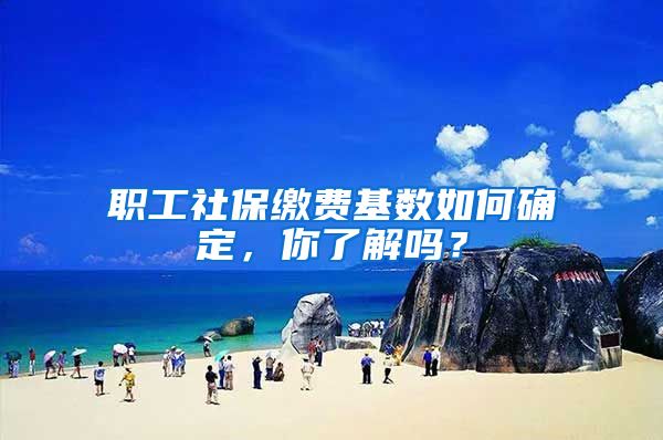 职工社保缴费基数如何确定，你了解吗？