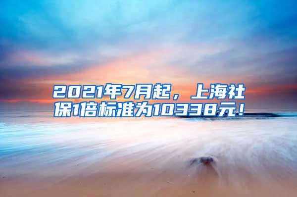 2021年7月起，上海社保1倍标准为10338元！