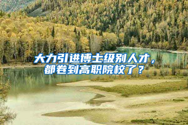 大力引进博士级别人才，都卷到高职院校了？