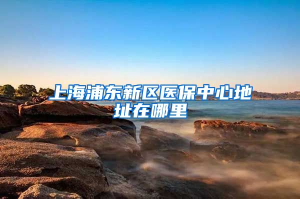 上海浦东新区医保中心地址在哪里