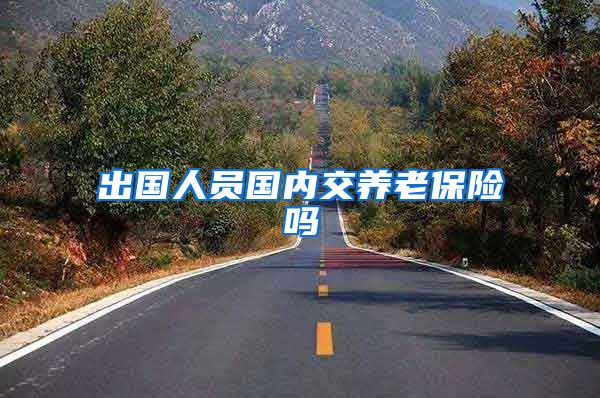 出国人员国内交养老保险吗