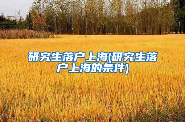 研究生落户上海(研究生落户上海的条件)
