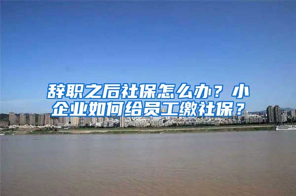 辞职之后社保怎么办？小企业如何给员工缴社保？