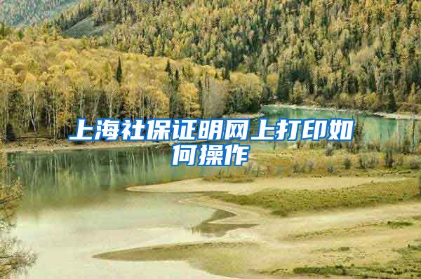 上海社保证明网上打印如何操作