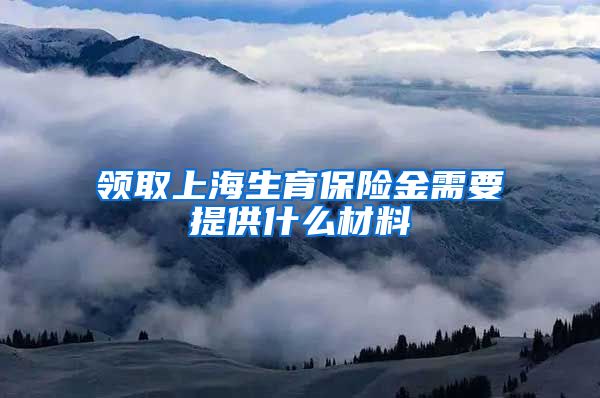 领取上海生育保险金需要提供什么材料