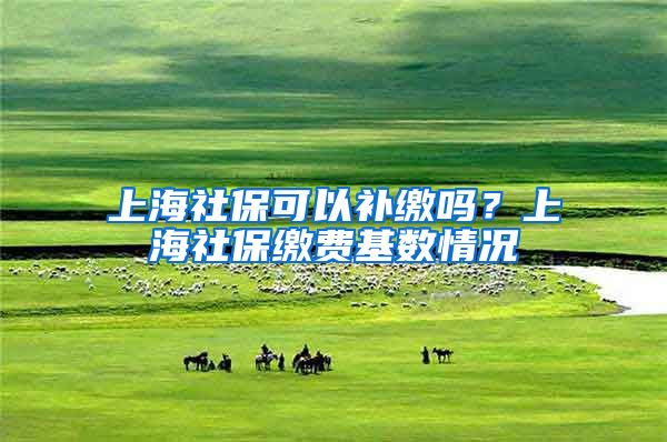上海社保可以补缴吗？上海社保缴费基数情况
