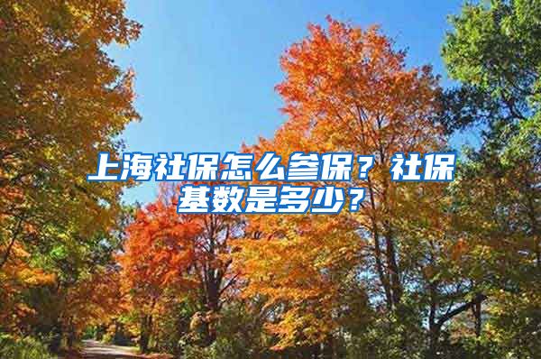 上海社保怎么参保？社保基数是多少？