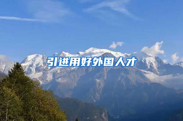 引进用好外国人才