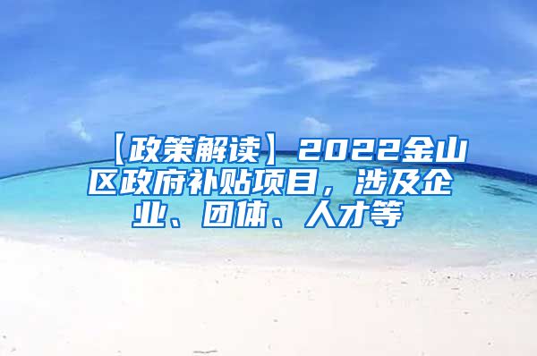 【政策解读】2022金山区政府补贴项目，涉及企业、团体、人才等