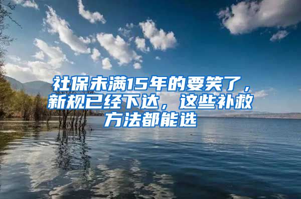 社保未满15年的要笑了，新规已经下达，这些补救方法都能选