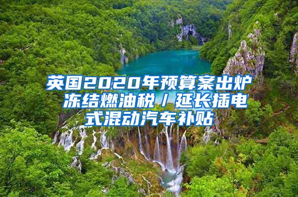 英国2020年预算案出炉 冻结燃油税／延长插电式混动汽车补贴