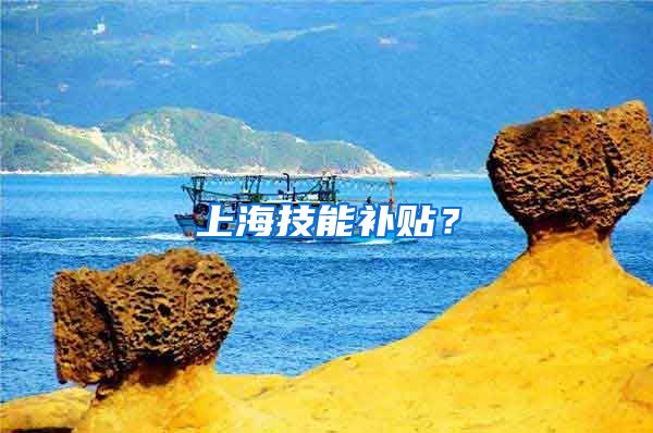 上海技能补贴？