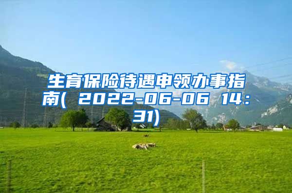 生育保险待遇申领办事指南( 2022-06-06 14：31)