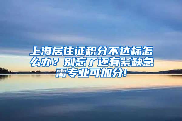 上海居住证积分不达标怎么办？别忘了还有紧缺急需专业可加分!