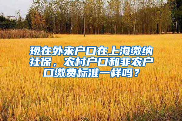 现在外来户口在上海缴纳社保,农村户口和非农户口缴费标准一样吗?