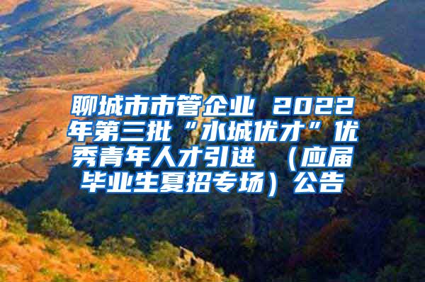 聊城市市管企业 2022年第三批“水城优才”优秀青年人才引进 （应届毕业生夏招专场）公告