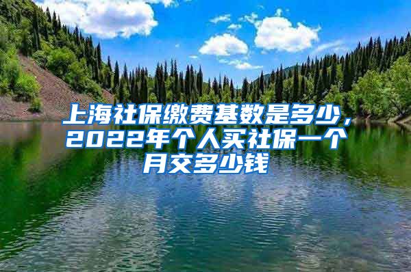 上海社保缴费基数是多少,2022年个人买社保一个月交多少钱