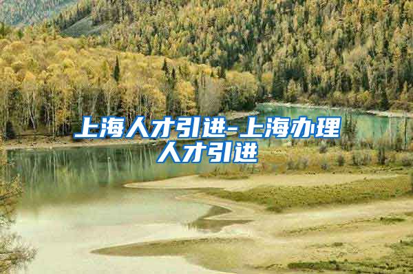 上海人才引进-上海办理人才引进