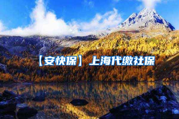 【安快保】上海代缴社保