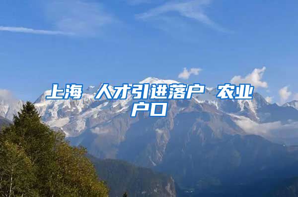 上海 人才引进落户 农业户口
