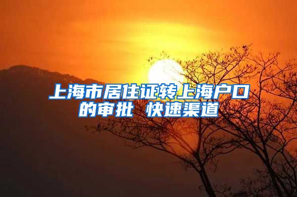 上海市居住证转上海户口的审批 快速渠道