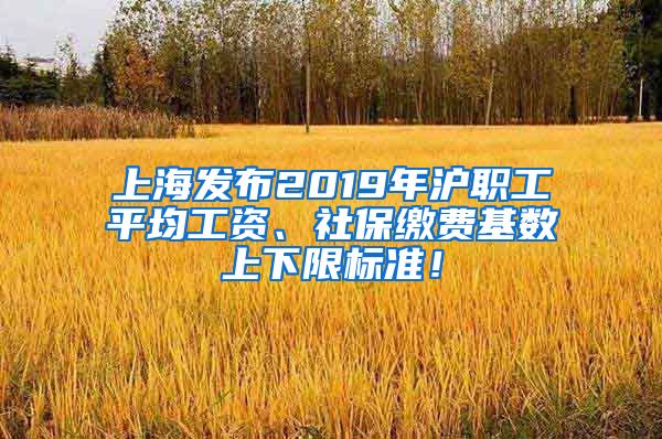 上海发布2019年沪职工平均工资、社保缴费基数上下限标准！