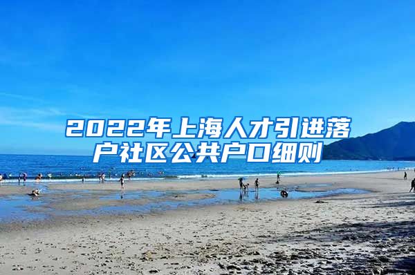 2022年上海人才引进落户社区公共户口细则