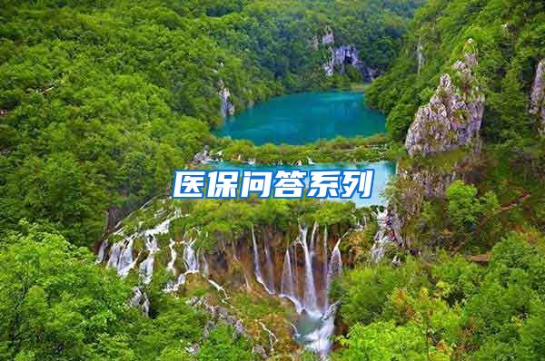 医保问答系列