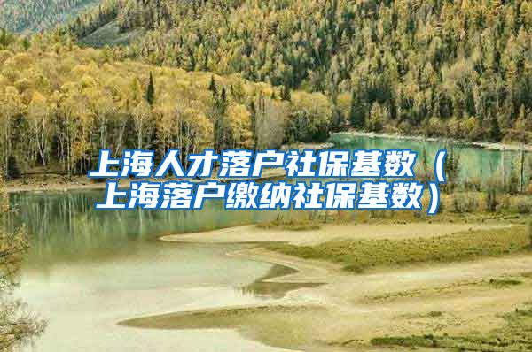 上海人才落户社保基数（上海落户缴纳社保基数）