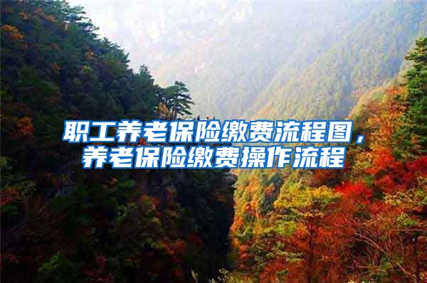 职工养老保险缴费流程图，养老保险缴费操作流程