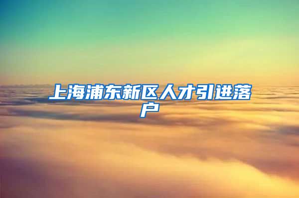 上海浦东新区人才引进落户