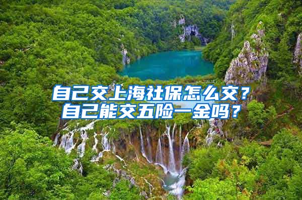 自己交上海社保怎么交?自己能交五险一金吗?