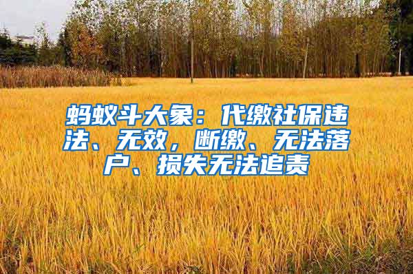 蚂蚁斗大象：代缴社保违法、无效，断缴、无法落户、损失无法追责