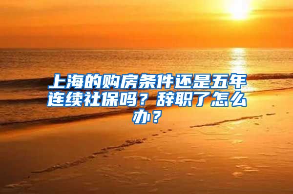 上海的购房条件还是五年连续社保吗？辞职了怎么办？