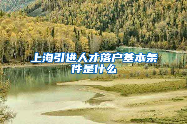 上海引进人才落户基本条件是什么