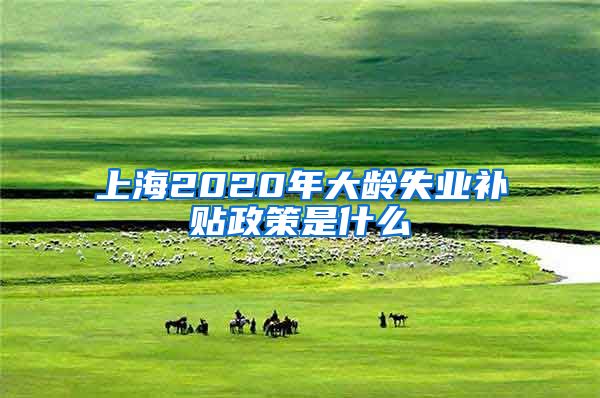 上海2020年大龄失业补贴政策是什么