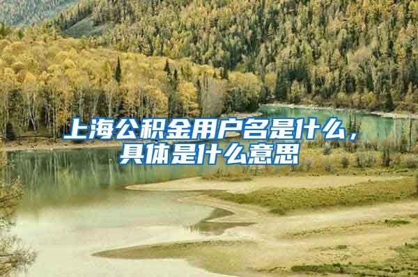 上海公积金用户名是什么，具体是什么意思