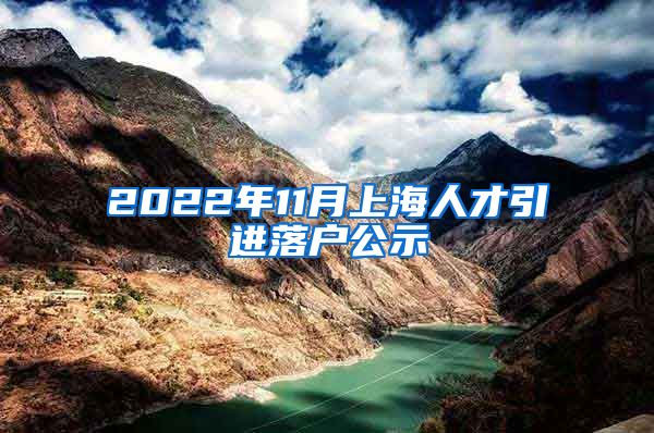 2022年11月上海人才引进落户公示
