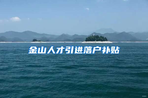 金山人才引进落户补贴